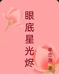眼底星光燼 封面