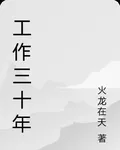 工作三十年 封面