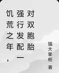 饑荒之年，強行發配一對雙胞胎 封面