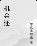 機會還 封面