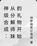 神級合成：從分解師妹的禮物開始 封面