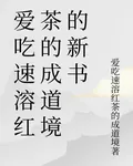 愛喫速溶紅茶的成道境的新書 封面