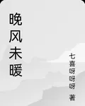 晚風未暖 封面