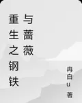 重生之鋼鐵與薔薇 封面
