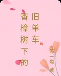 香樟樹下的舊單車 封面