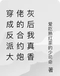 穿成反派大佬的合約炮灰後我真香 封面