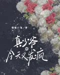 真少爺他今天又發瘋 封面