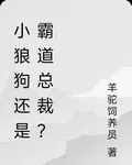 小狼狗還是霸道總裁？ 封面