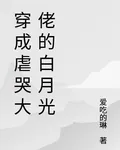 穿成虐哭大佬的白月光 封面