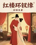 紅樓環釵緣 封面