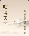 昭璃天下 封面