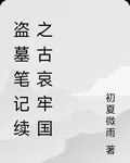 盜墓筆記續之古哀牢國 封面