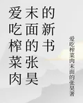 愛喫榨菜肉末面的張昊的新書 封面