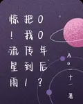 驚！流星雨把我傳到100年後？ 封面