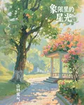 象限裏的星光 封面