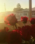如火似她 封面