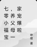 七零小福寶，養父母一家寵爆啦 封面