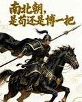 南北朝，是苟還是搏一把 封面