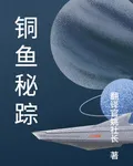 銅魚祕蹤 封面