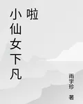小仙女下凡啦 封面