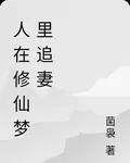 人在修仙夢裏追妻 封面