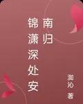 錦瀟深處安南歸 封面
