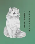 盜墓不合法，報應來敲門 封面