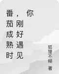 番茄成熟時，剛好遇見你 封面