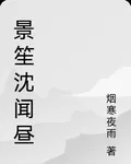 景笙沈聞晝 封面