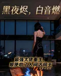黑夜燼，白音燃 封面
