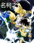 名柯之開局圖書館掃街 封面