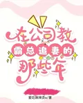 在公司教霸總追妻的那些年 封面
