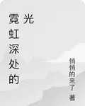 霓虹深處的光 封面