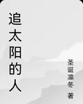 追太陽的人 封面