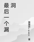 最後一個漏洞 封面