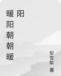 朝朝暖陽 封面
