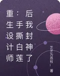 重生設計師：手撕白蓮後我封神了 封面