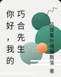 你好，我的巧合先生 封面