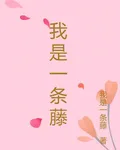 我是一條藤 封面