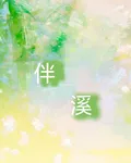 伴溪 封面