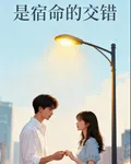 是宿命的交錯 封面