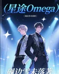 星途Omega 封面
