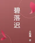碧落遲 封面