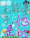 無能妻子，她是bt 封面
