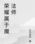 榮耀屬於魔法師 封面