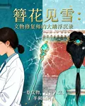 簪花見雪：文物修復師的大靖浮沉 封面