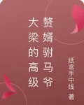 大梁的高級贅婿駙馬爺 封面