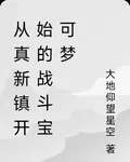 從真新鎮開始的戰鬥寶可夢 封面