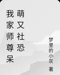 我家師尊社恐又呆萌 封面