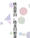 鐵血榮歸：隱龍歸都錄 封面